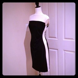 NWT Fitted Ralph Lauren Bodycon Dress